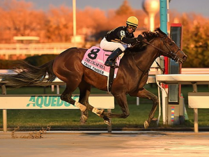 True Timber wins the 2020 Cigar Mile Handicap at Aqueduct- Photo courtesy of Coglianese Photography - BloodHorse