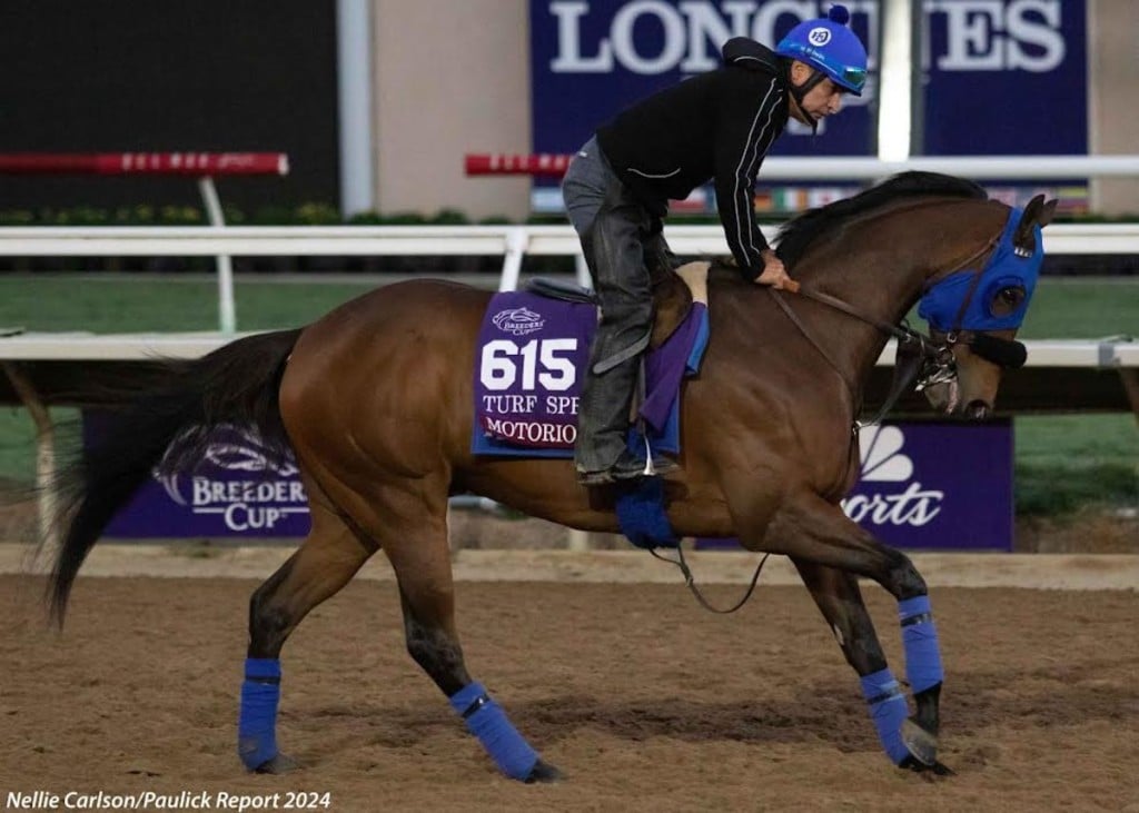 Latest Update: Official G3 Daytona Stakes Odds, Futures, Horses, Post Positions. US Racing, all you need for every race.