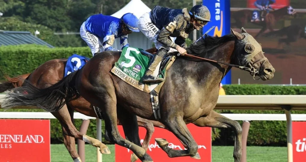 Breeders' Cup: Whitney Winner Sierra Leone Classic Bound | US Racing