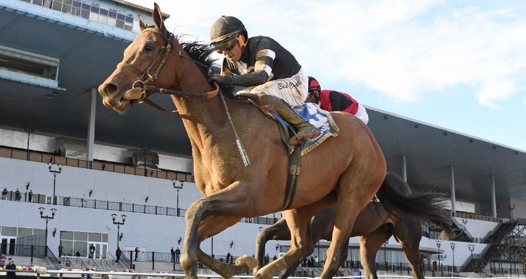 3 Best Bets to Win the 2025 Mother Goose Stakes | US Racing