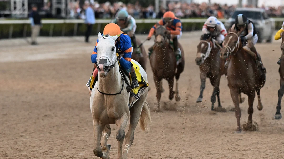 Pegasus World Cup Betting Veterans or Youth