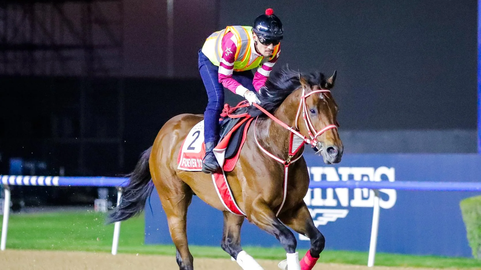 Saudi Cup Odds: Favorite Forever Young Draws Post 6 in Full Field