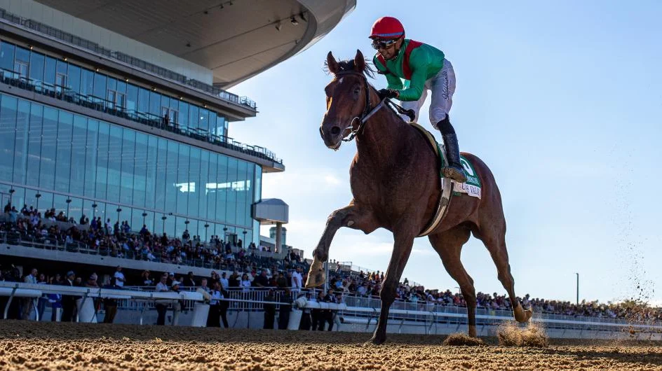 Breeders' Cup Odds Movers After Fall Stars Weekend