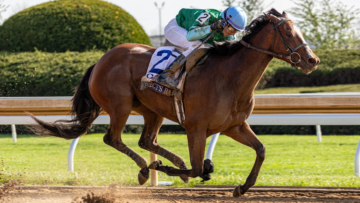 Keeneland Saturday Betting: Raven Run and Perryville Picks