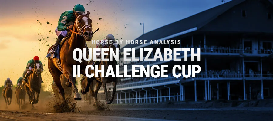 2026 Queen Elizabeth II Challenge Cup: Horse-by-Horse Analysis